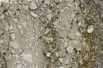 Asbestos slate texture concrete covered with lichen and moss	
