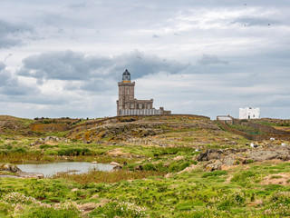 Fototapeta na wymiar A view of the lighthouse on the Isle of May in Scotland