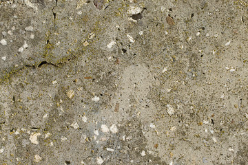 Asbestos slate texture concrete covered with lichen and moss	