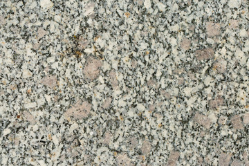 Asbestos slate texture concrete covered with lichen and moss	