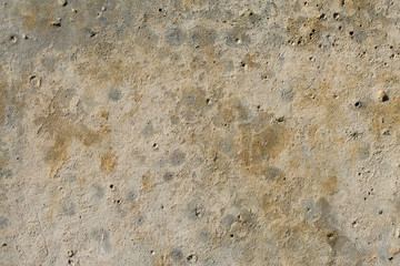 Asbestos slate texture concrete covered with lichen and moss