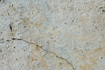 Asbestos slate texture concrete covered with lichen and moss