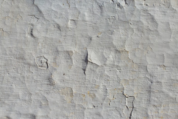 Asbestos slate texture concrete covered with lichen and moss