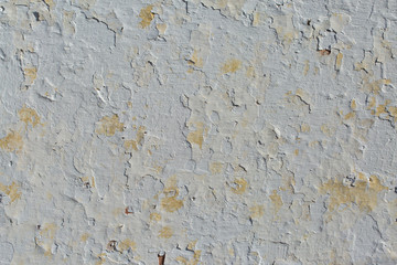 Asbestos slate texture concrete covered with lichen and moss