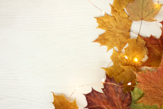 golden autumn/ maple leaves in lights of a garland on a light wooden surface