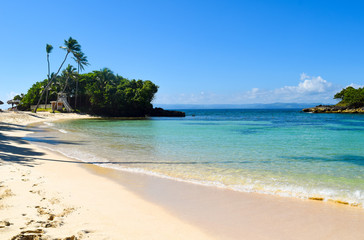 Caribbean beach with turquoise ocean, some tropical plants and palms. blue sky, paradise island