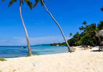Caribbean beach with turquoise ocean, some tropical plants and palms. blue sky, paradise island, cayo levantado