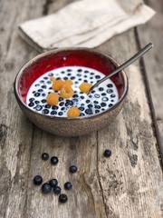 blueberries with milk in red ceramic bowl