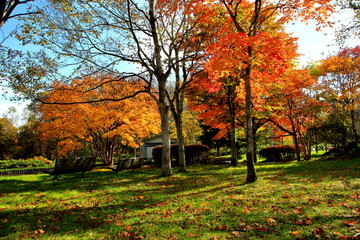Fototapeta na wymiar 北海道、札幌、紅葉の日本庭園の風景