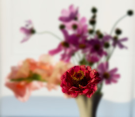 bouquet of pink flowers