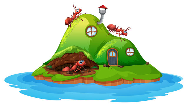 Ant hill house on white background