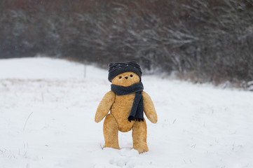 Teddy bear walks in winter forest - European scene