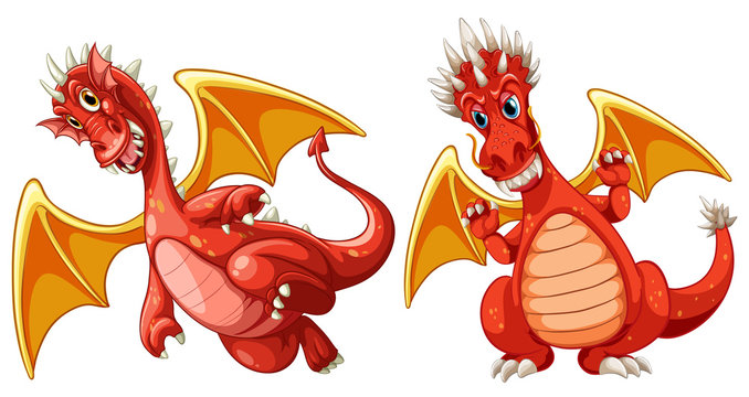 Red dragon with wings