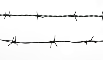 Barbed wire isolated on white background.