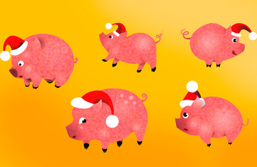 pigs - a symbol of the coming 2019