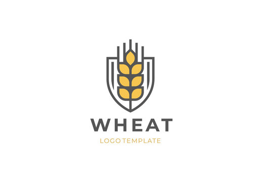 Ear vector logotype. Grain wheat logo design. Beer emblem. 