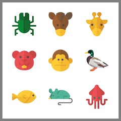 9 animal icon. Vector illustration animal set. horse and beetle icons for animal works