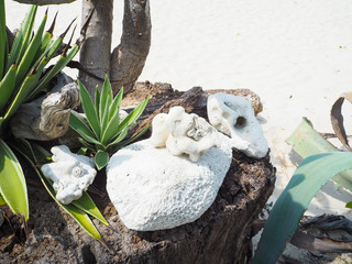 Beach plant and beautiful sea in the holiday.