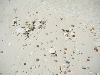 Stone beach and beautiful sea in the holiday.