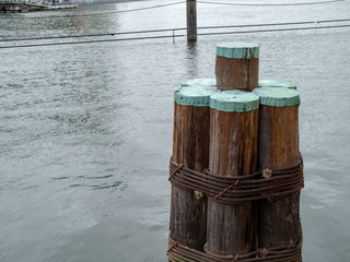 Wooden dock columns sitting near a pier in local dock
