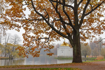 Autumn. Catherine Park. Pushkin, St. Petersburg, Russia