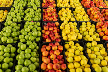 colorful assortment of apples in the market of Tbilisi
