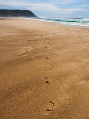 Birdie Beach, Lake Munmorah