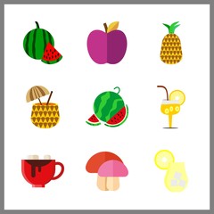 9 slice icon. Vector illustration slice set. lemonade and chocolate icons for slice works