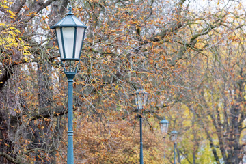 Beautiful park in autumn, with old street lamps