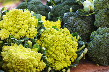 cauliflower romanesco and broccoli in street market
