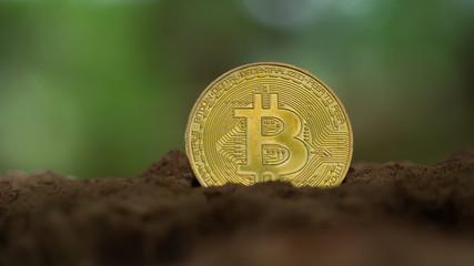 Bitcoin Is A Modern Way Of Exchange And This Crypto Currency