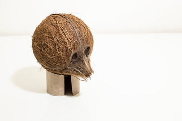 Coconut face portraiture