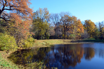 a cozy place in the Park on the pond