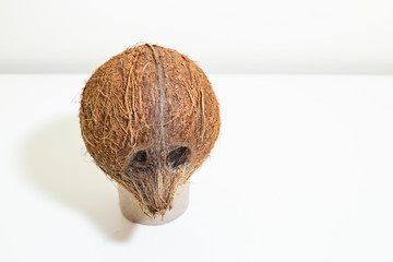 Coconut face portraiture