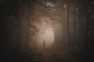 Trail runner run in misty autumn forest