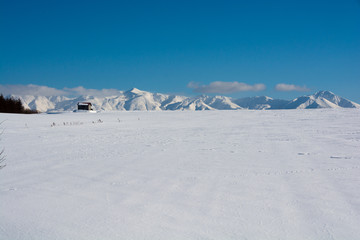 雪原と冬山と青空　十勝岳