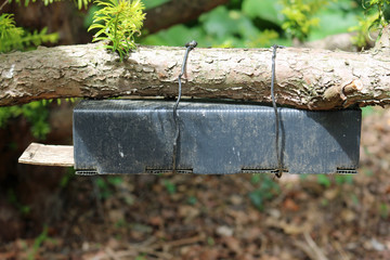 Dormouse nest tube survey box