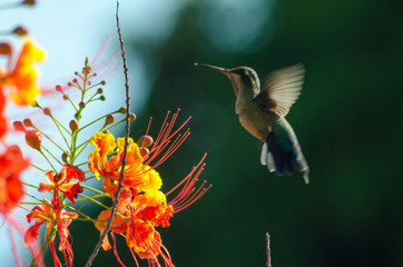  Lush spring and its colors...