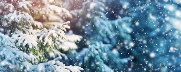 Beautiful tree in winter landscape in late evening in snowfall