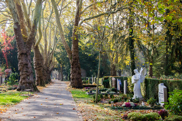 A typical peaceful cemetery with crosses and many trees during autumn. Religious ground to bury...