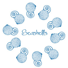 seashells  wreath