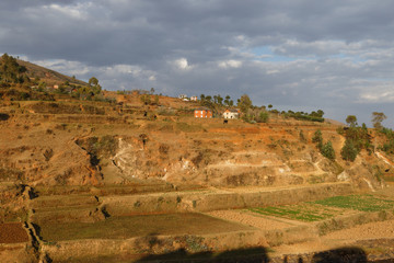 Terrassen bei Ambohibary