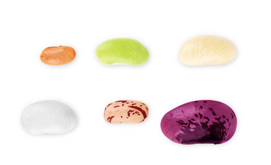 beans assorted vegetables of different types on a white background set