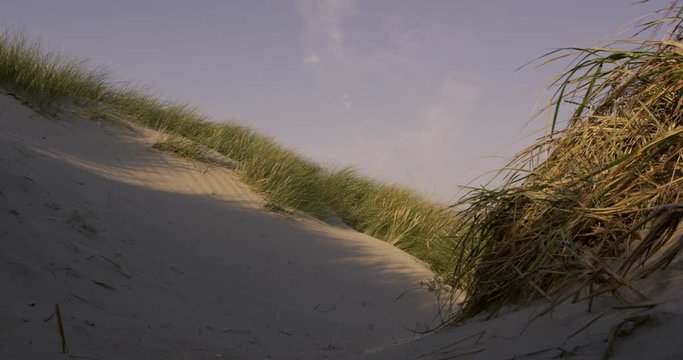 beach in autumn - denmark