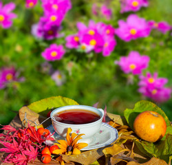 autumn still life with a cup of tea in the garden
