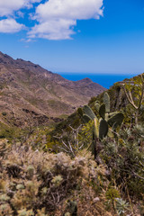 view of the mountains