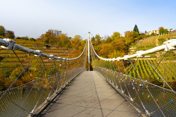 Brücke am Max-Eyth-See in Stuttgart im Herbst