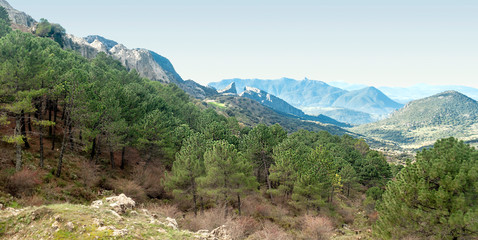 Fototapeta na wymiar Mountains of Grazalema in Spain