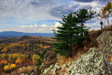 Two cedar on a rock against the sky and autumn forest