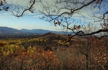 .Vid skvoz' vetki duba na raznotsvetnyy osenniy les, gory i nebo s oblakami..View through the branches of an oak tree on a colorful autumn forest, mountains and sky with clouds.